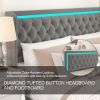 King Platform Bed Frame With High headboard, Velvet Upholstered Bed with Deep Tufted Buttons, Adjustable Colorful LED Light Decorative Headboard, Wide