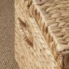 Ludmilla Rectangular Curve Water Hyacinth Woven Wicker Trunk with Handles - 26" x 19" x 14" - Natural Brown - For Clothes, Toys, Magazines and Book St